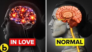 What Happens To Your Body When You Fall In Love