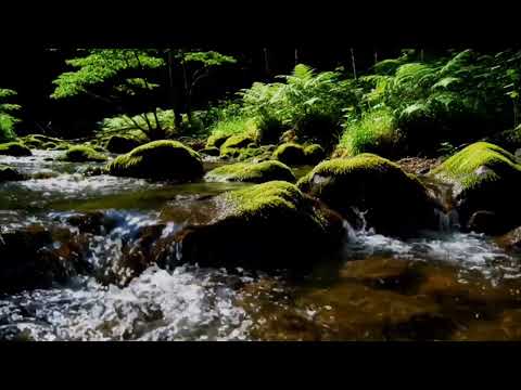 Relax All Night with Peaceful River Sounds – Natural White Noise (No Music)