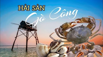Biển Tân Thành huyện Gò Công với nhiều hải sản tươi ngon. Đặc sản nghêu Gò Công.