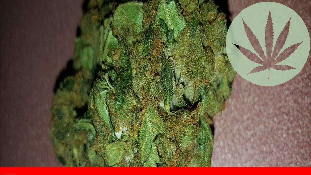 Alien Sour Apple - All About This Strain