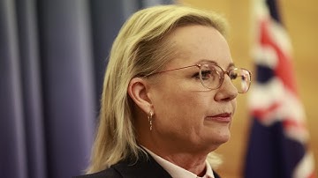 Right flank of Liberals creating ‘huge distraction’ for Sussan Ley with net zero challenge