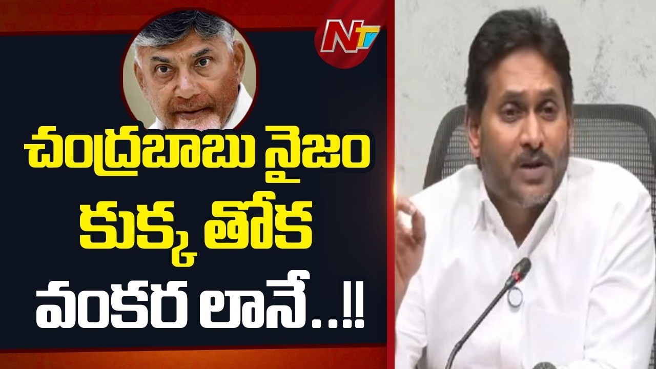 YS Jagan Sensational Comments On CM Chandrababu | NTV Telugu