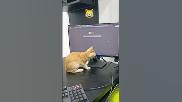 HILARIOUS Cat Chasing Mouse Cursor #shorts