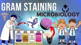 Gram Staining Procedure Microbiology - Principle, Procedure, Interpretation