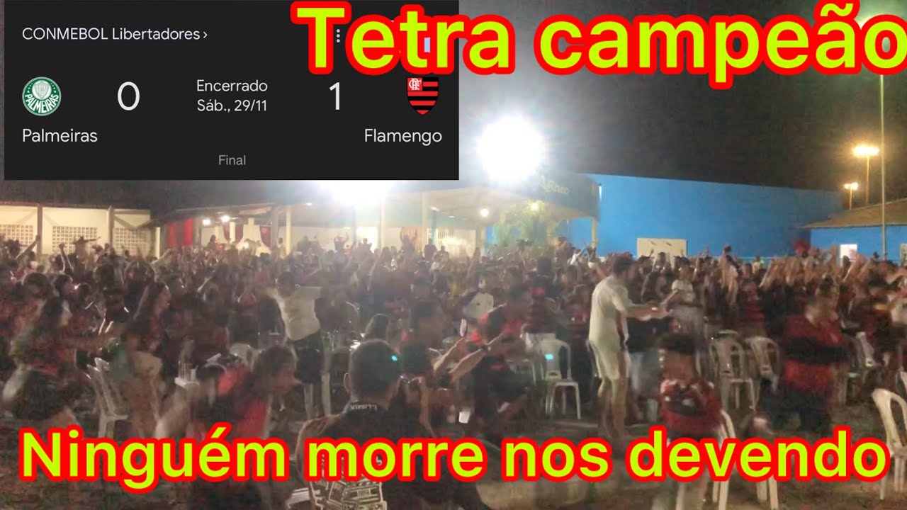 REACT/ palmeiras 0 x 1 Flamengo/ tetra campeão da libertadores/ Danilo o herói improvável react 