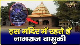 प्रयागराज का प्राचीन नागवासुकी मंदिर #Creative Bharat #NagvasukiMandir #PrayagrajTemple #facts #1k