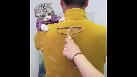 Roller Instantly Removes Clothing Lint (Satisfying Cleaning)