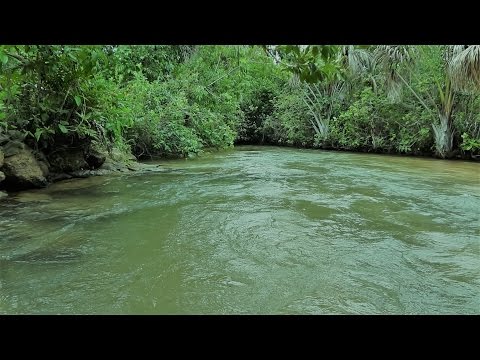 Fazenda e Pousada Amaralina (Coxim / MS - Portal do Pantanal Sul)