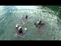 Rendezvous dive adventures diving vancouver island canada