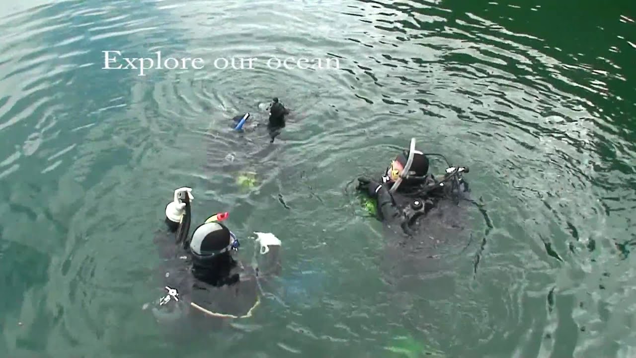 Rendezvous Dive Adventures diving Vancouver Island Canada YouTube