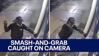 Man uses hammer to smash through Philadelphia storefront window, steal high-end purses