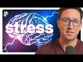 Stress Is Damaging Your Gut Health. Here's How to Repair It.