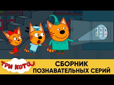 Три кота | Сборник познавательных серий | Мультфильмы для детей