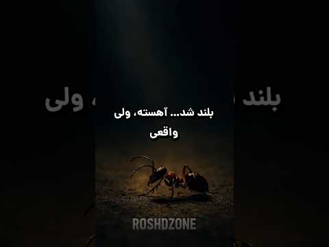 مورچه ای که تنها کار می کرد وقتی هیچ کس نیست ادامه بده 