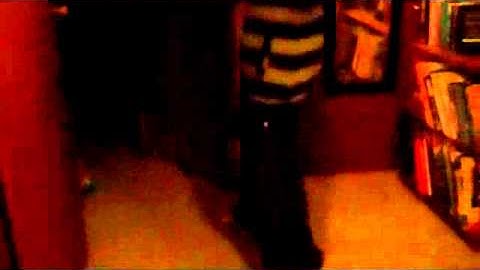 HLS//Xee~ What Usually Happens Before I Start Recording A Video//Dedication to Xtatic(: