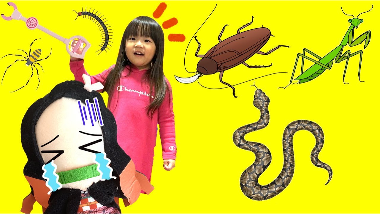 【寸劇】禰豆子を助けて!お部屋に虫がいっぱい!ほのちゃん虫を捕まえてー! 鬼滅の刃ごっこ ゲーム 虫捕り 4歳