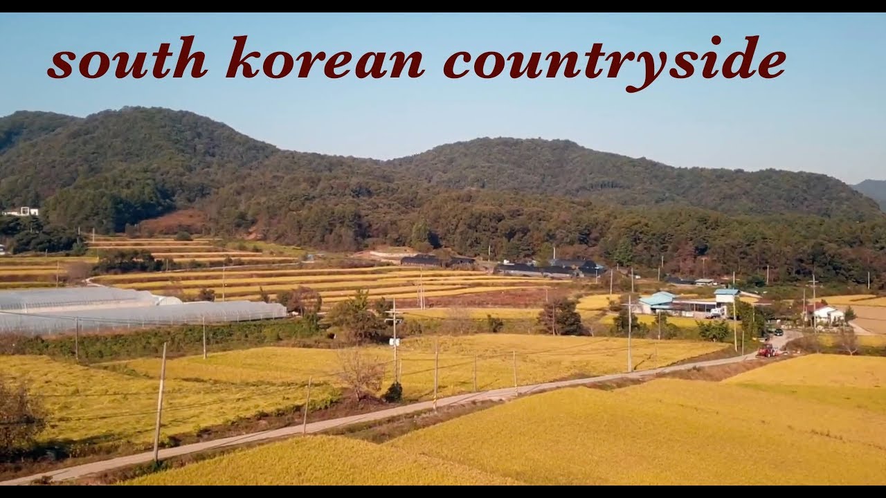 Visiting the South Korean Countryside (Jeollanamdo) YouTube