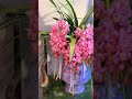 Cymbidium grandiflorum is a New Year s flower#What beautiful flowers for everyone to