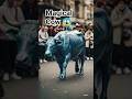 A magical Cow in public , #entertaininganimals #amazing #cowvideos