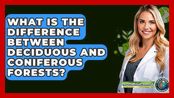 What Is The Difference Between Deciduous And Coniferous Forests? - Earth Science Answers