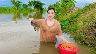 Thanh Thư Dẫn Mấy Đứa Em Đi Bắt Ốc,Kiếm Cá Trong Hang | TTMT#205