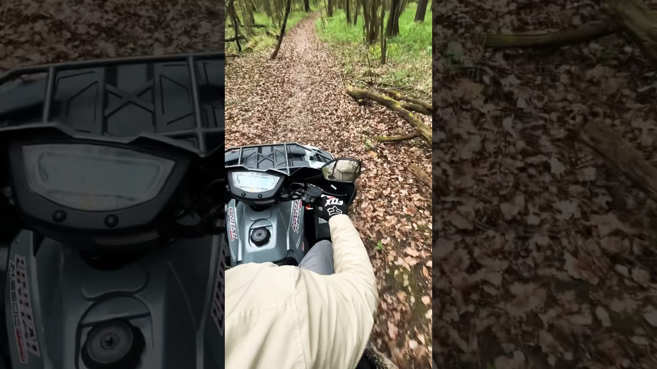 Прокат квадроциклов в Подмосковье #прокатквадроциклов #квадрик # ...