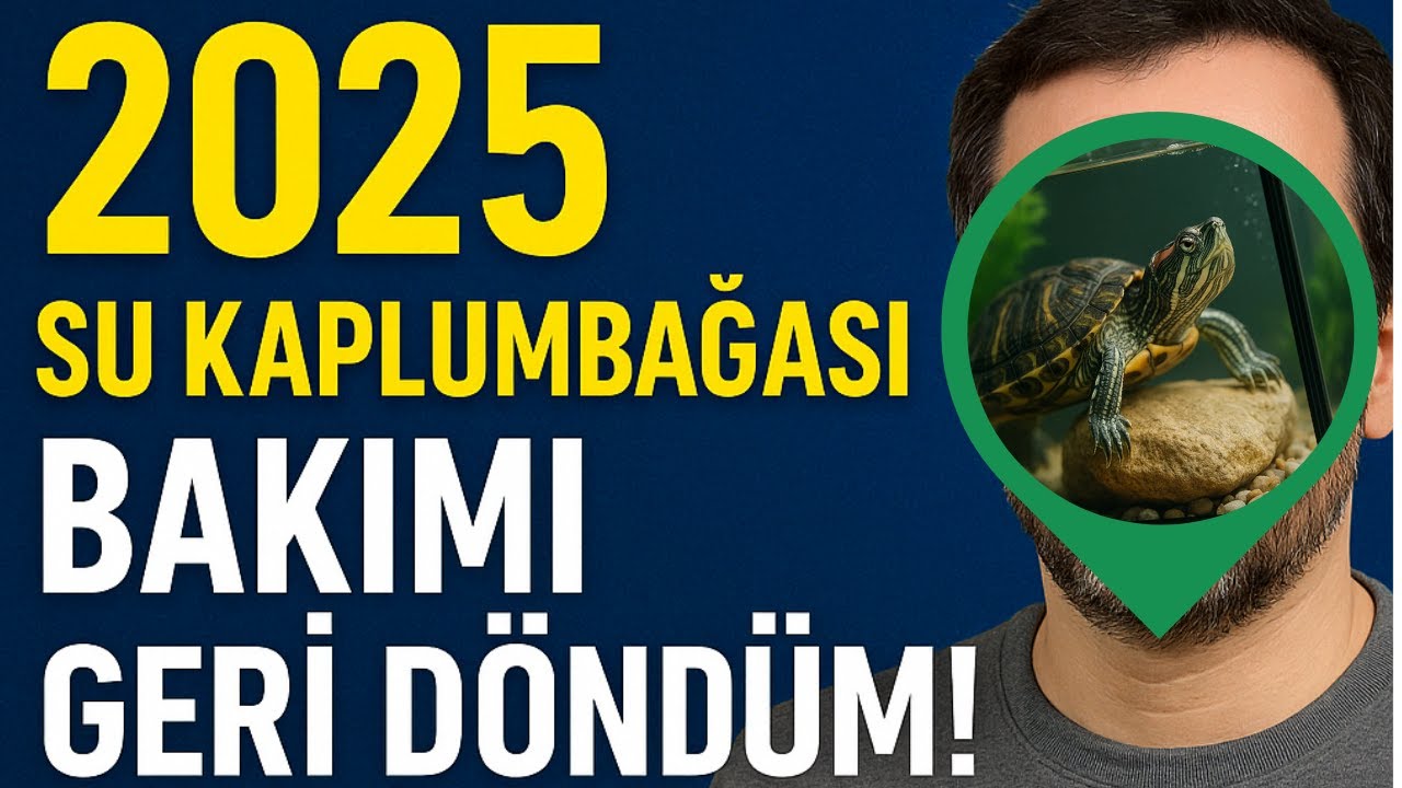 2025 Su Kaplumbağası Bakım Rehberi 🐢 | Geri Döndüm! Güncel