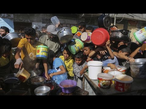 Starved by Israel's blockade, Gaza's displaced children go hungry