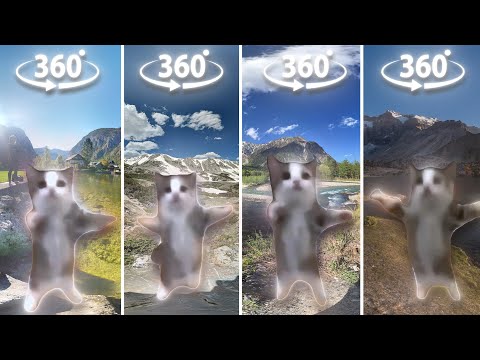 FIND Happy Cat 360º VR Video (Challenge)