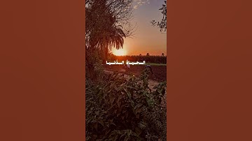 بعض ما تيسر من سوره (فاطر ) #اجر_لي_ولك