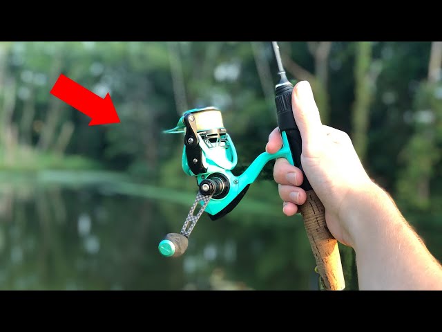 Everybody NEEDS This Reel! (Piscifun Carbon Prism) 
