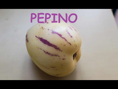 Video: Čo Je To Pepino?