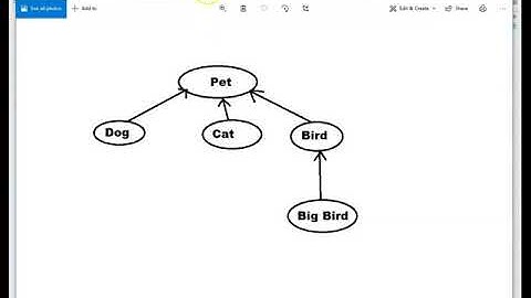 CSC-220 - Chapter11 - Pet Polymorphism and Inheritance (1 of 4)