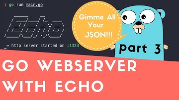 Creating Golang WebServer With Echo - Part 3: Parsing JSON From Request