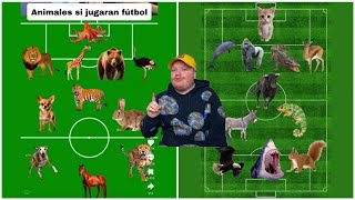 Animales si jugaran fútbol ¿QUÉ JUGADOR SERÍAN?