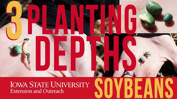 Planting Soybeans at 3 Different Depths: Can You Guess Which Seed Is Planted at Which Depth?