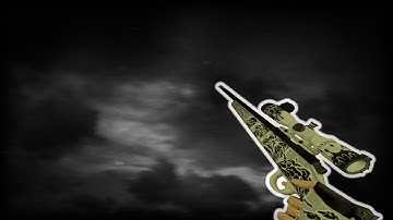 the cs1.6 scout is a cheat