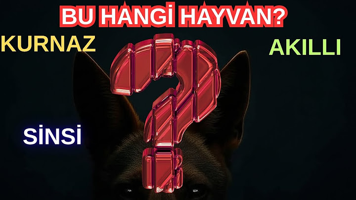 Doğanın En Kurnaz Komedyeni Hangisi?