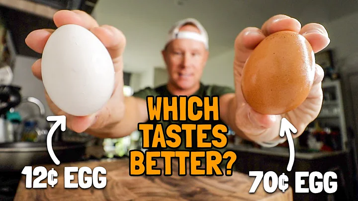 12¢ Store-Brand Eggs vs 70¢ Vital Farms Pasture-Raised Eggs | *WHICH TASTES BETTER?* 🥚🍳