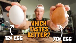 12¢ Store-Brand Eggs vs 70¢ Vital Farms Pasture-Raised Eggs | *WHICH TASTES BETTER?* 🥚🍳