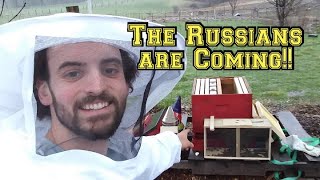 Introducing (Russian) Honey Bees to the Farm