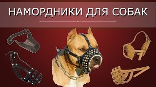 Намордник для собаки Намордник для собаки
