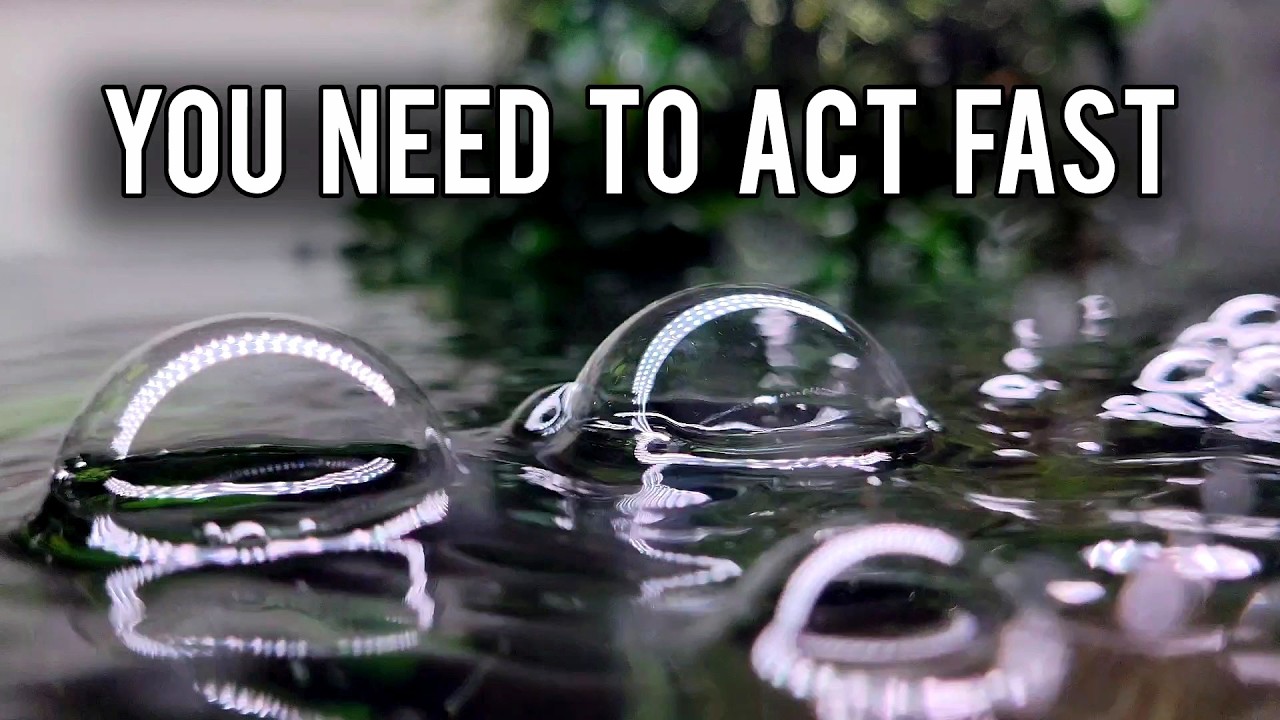 Ваш аквариум пытается вам что-то сказать