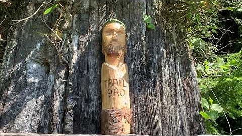 Data Collection With FME Data Express