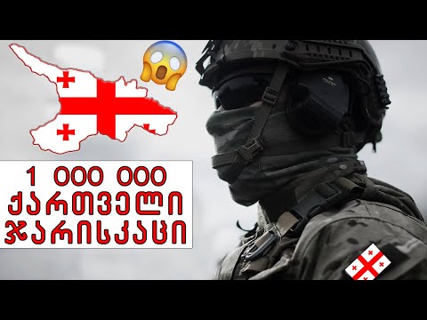 საქართველოს  მომავლის არმია!?