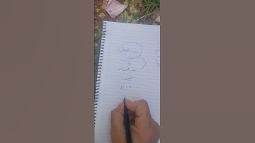 سورة الملك المنجية من عذاب القبر