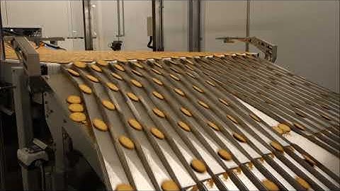 Sobatech continuous production of MARIA BISCUIT