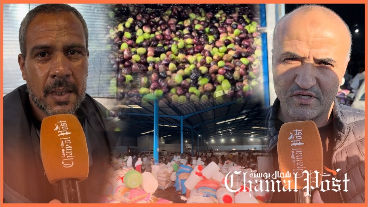 من قلب بني احمد : الزيت موجود هد العام ولكن لابقى هيدا غيطلع فالثمن