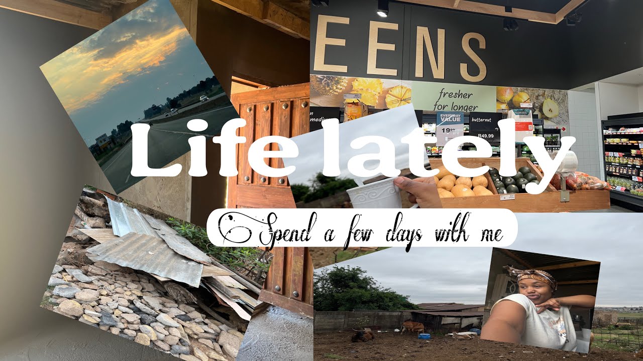 Life lately: Grocery shopping + At Home+ Construction #messy vlog 