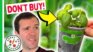 Don't Buy Seedlings Until You Watch This